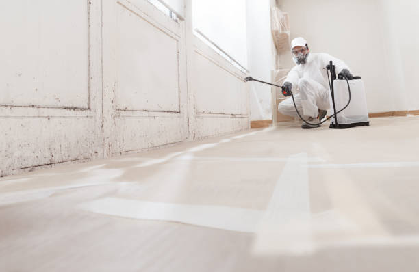 24/7 Emergency Bathroom Mold Removal experts in Spring Hill, FL